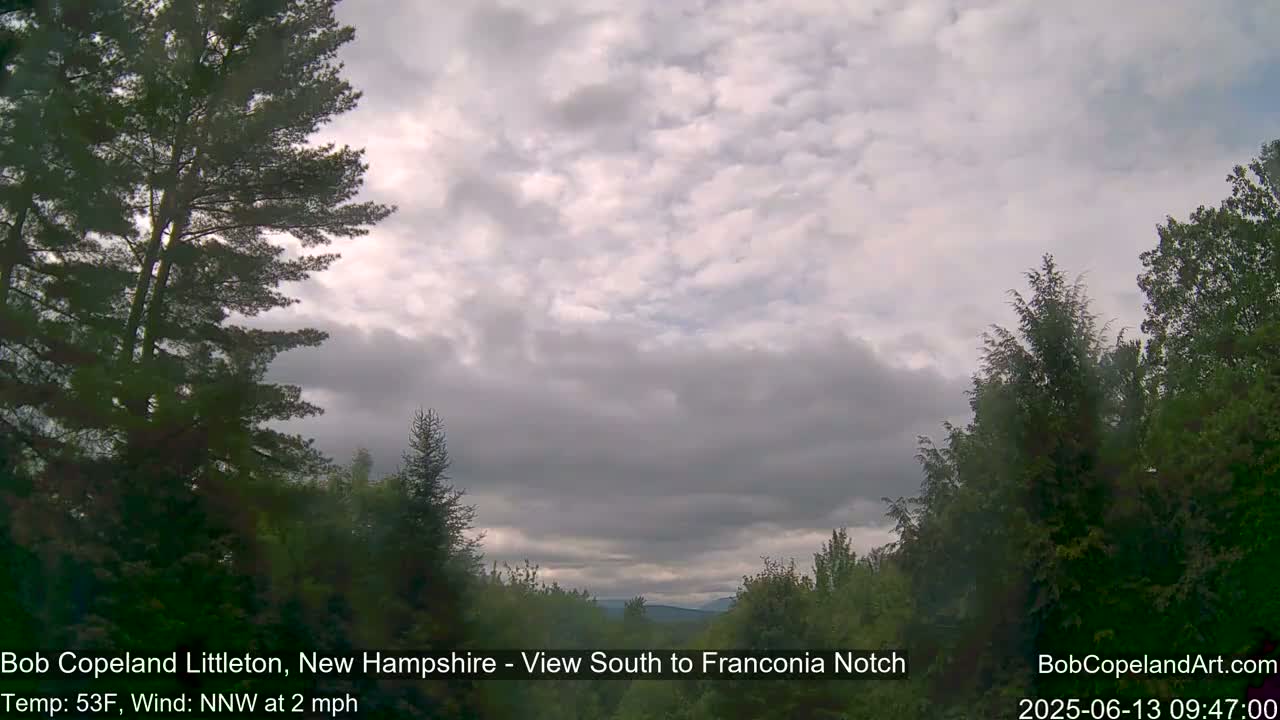 A view of a partly cloudy sky over a forest, with a gentle NNW wind at 2 mph and a temperature of 53°F.