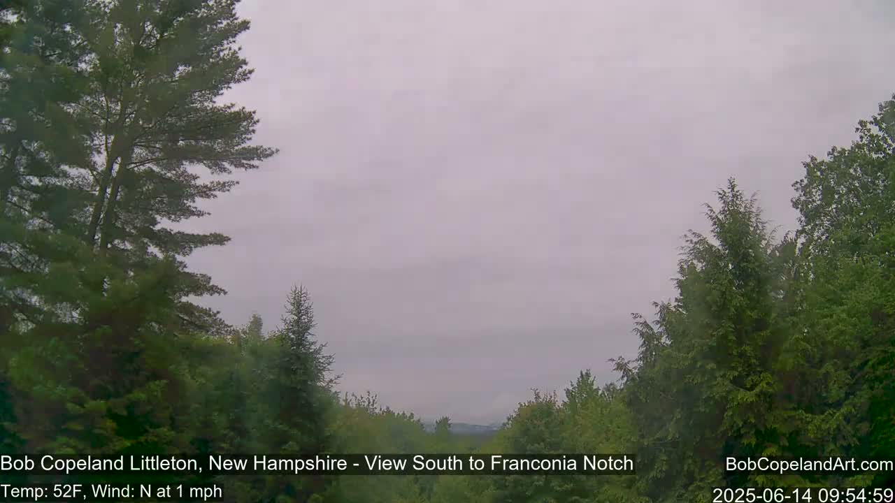 A hazy, overcast view of a wooded landscape, with trees lining both sides of a distant valley under a pale sky.