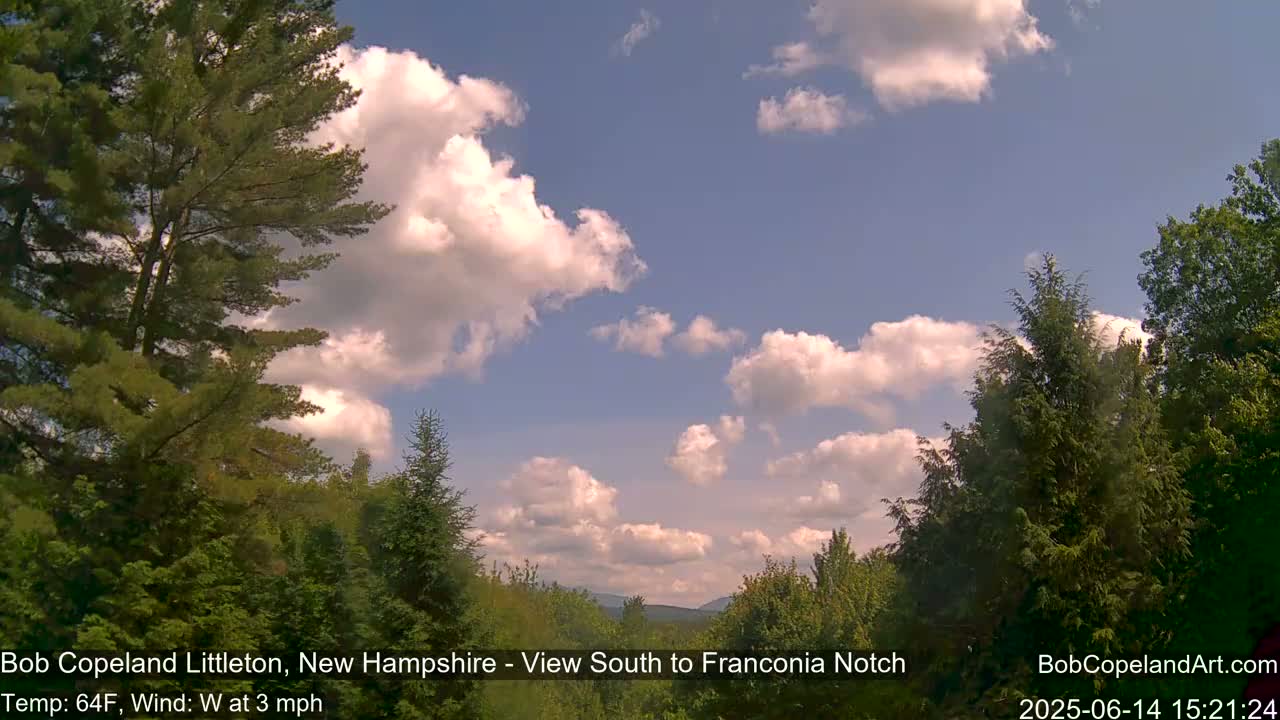 A hazy, overcast view of a wooded landscape, with trees lining both sides of a distant valley under a pale sky.