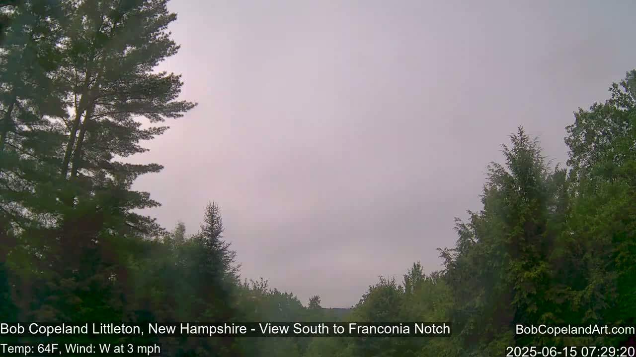 A hazy, overcast sky hangs over a landscape of green, coniferous trees under a light westerly wind.