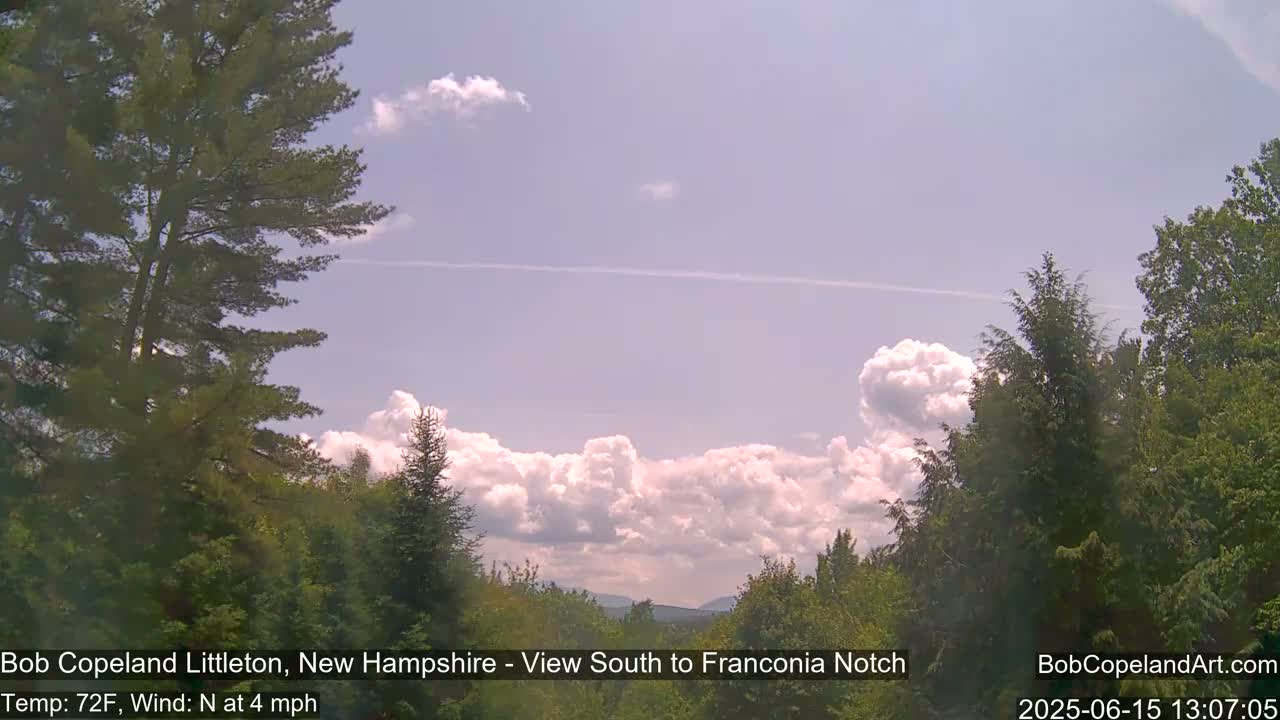 A partly cloudy sky with fluffy cumulus clouds over a landscape of green trees and distant mountains, with a light north wind.