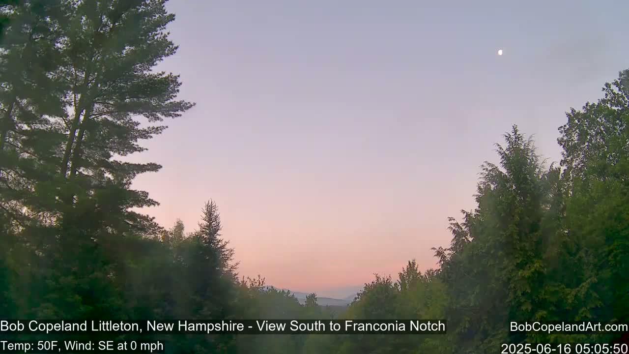 A calm, pale pink sunrise is visible over a hazy mountain range, framed by dark green evergreen trees under a twilight sky with a single moon visible.
