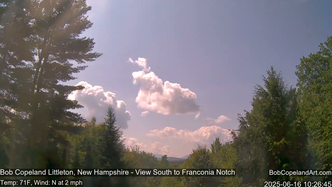 A partly sunny sky with fluffy cumulus clouds is visible above a landscape of evergreen trees.