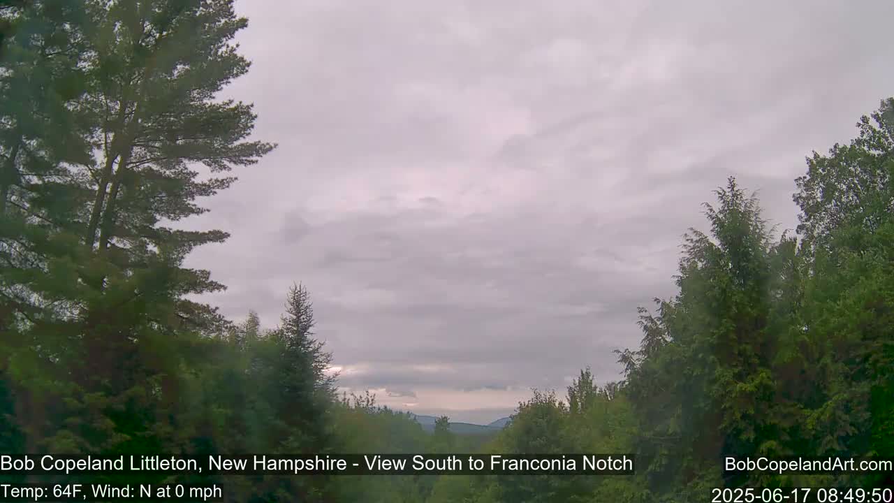 A view through trees shows an overcast sky and distant mountains under a cloudy sky.