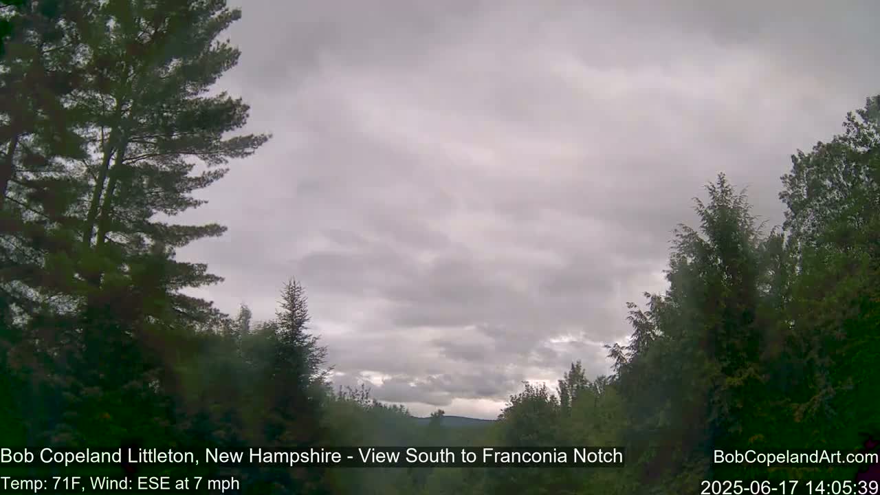 Overcast skies and a 7 mph southeasterly wind are visible beyond a stand of evergreens.