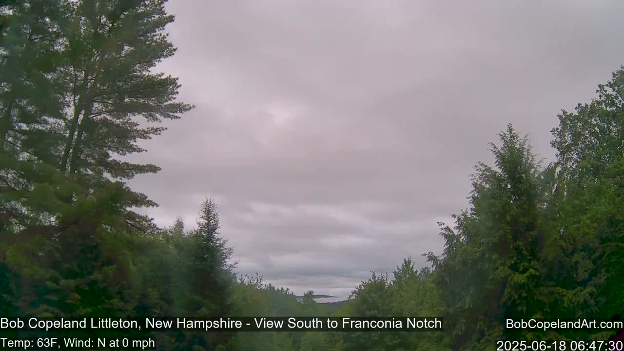 A view from between evergreens shows an overcast sky and a distant valley under a pale gray sky.