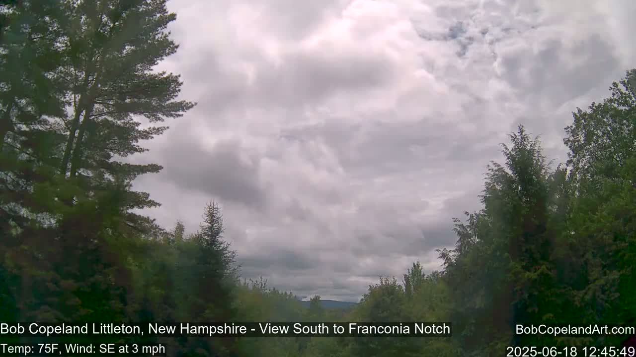 A view of a partly cloudy sky over a forest of evergreens and deciduous trees.