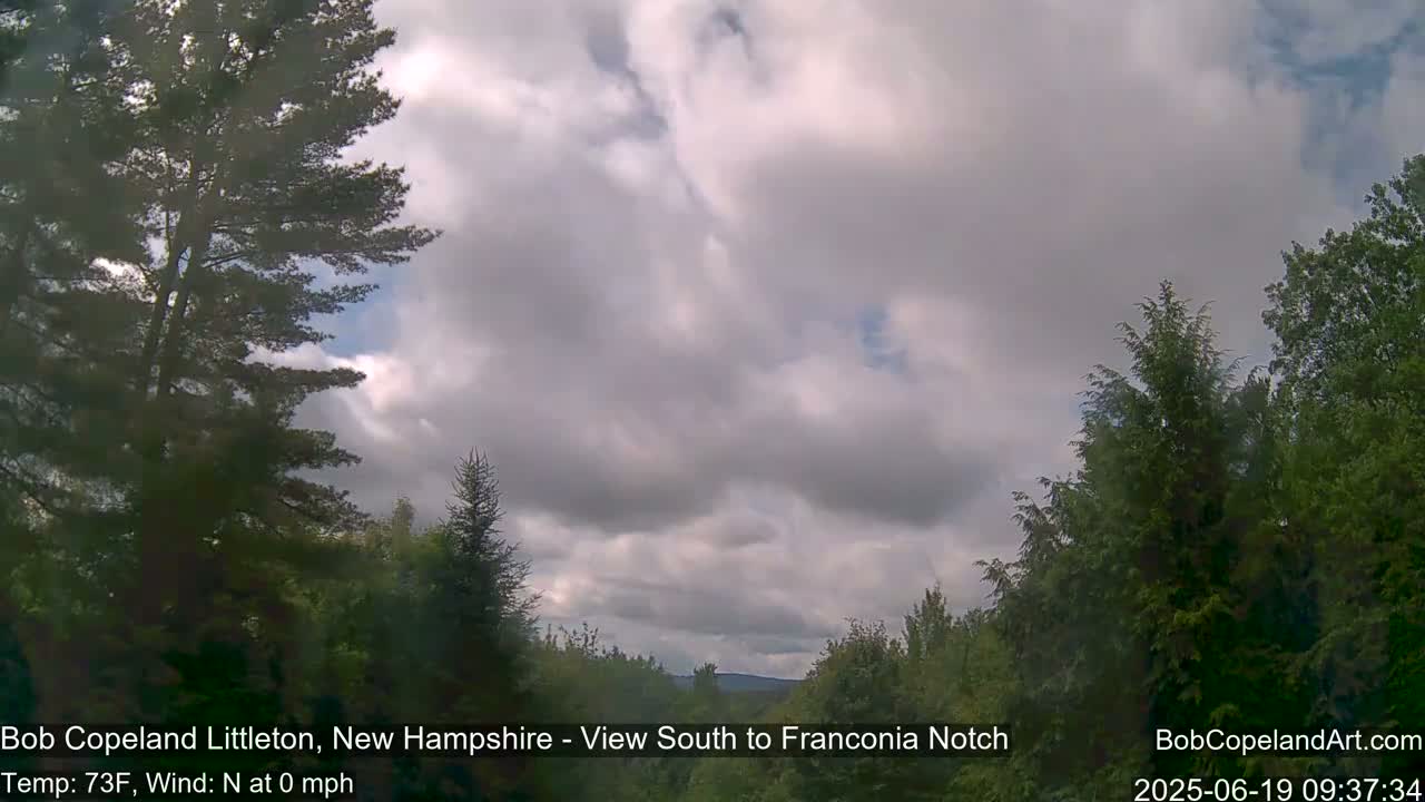 A mostly cloudy sky hangs over a verdant forest of evergreen and deciduous trees.
