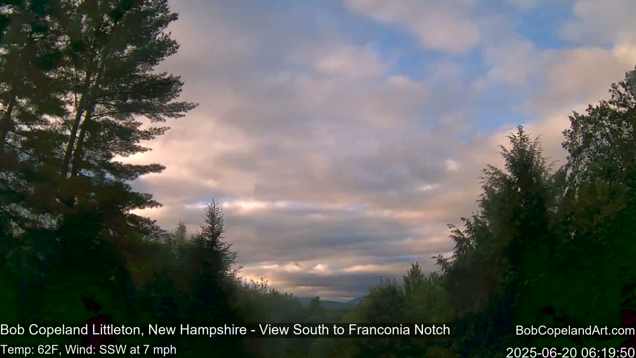A partly cloudy sky with a gentle breeze over a landscape of dark green trees.