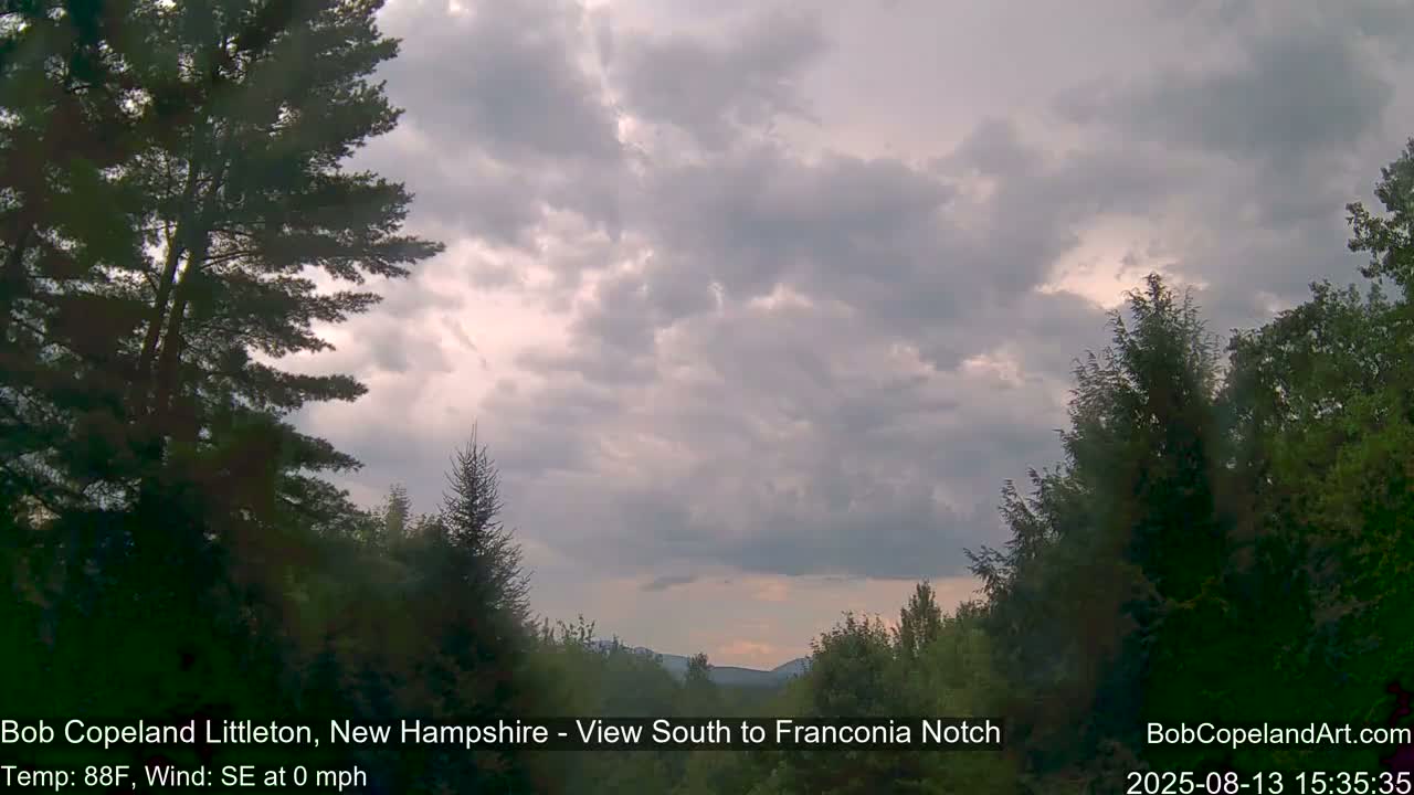 A partly cloudy sky with a slight break of sunlight, viewed from between dark green trees, shows distant mountains in the background.