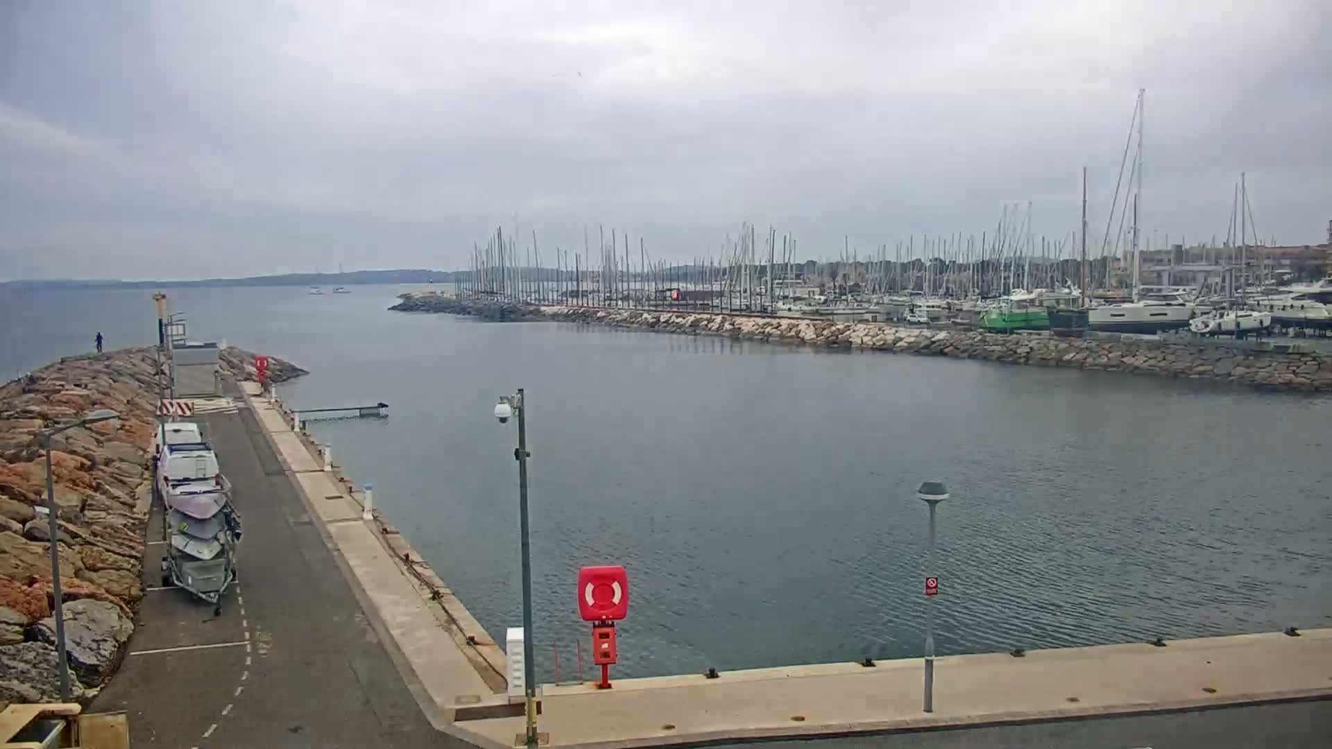 A marina filled with numerous sailboats and yachts is seen on a calm, overcast day, with a paved walkway and parked vehicles visible in the foreground.