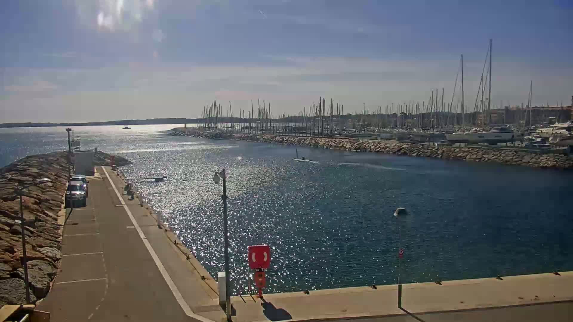 A sunny day at a marina shows a calm harbor filled with numerous sailboats, a small number of cars parked nearby, and a rocky shoreline.