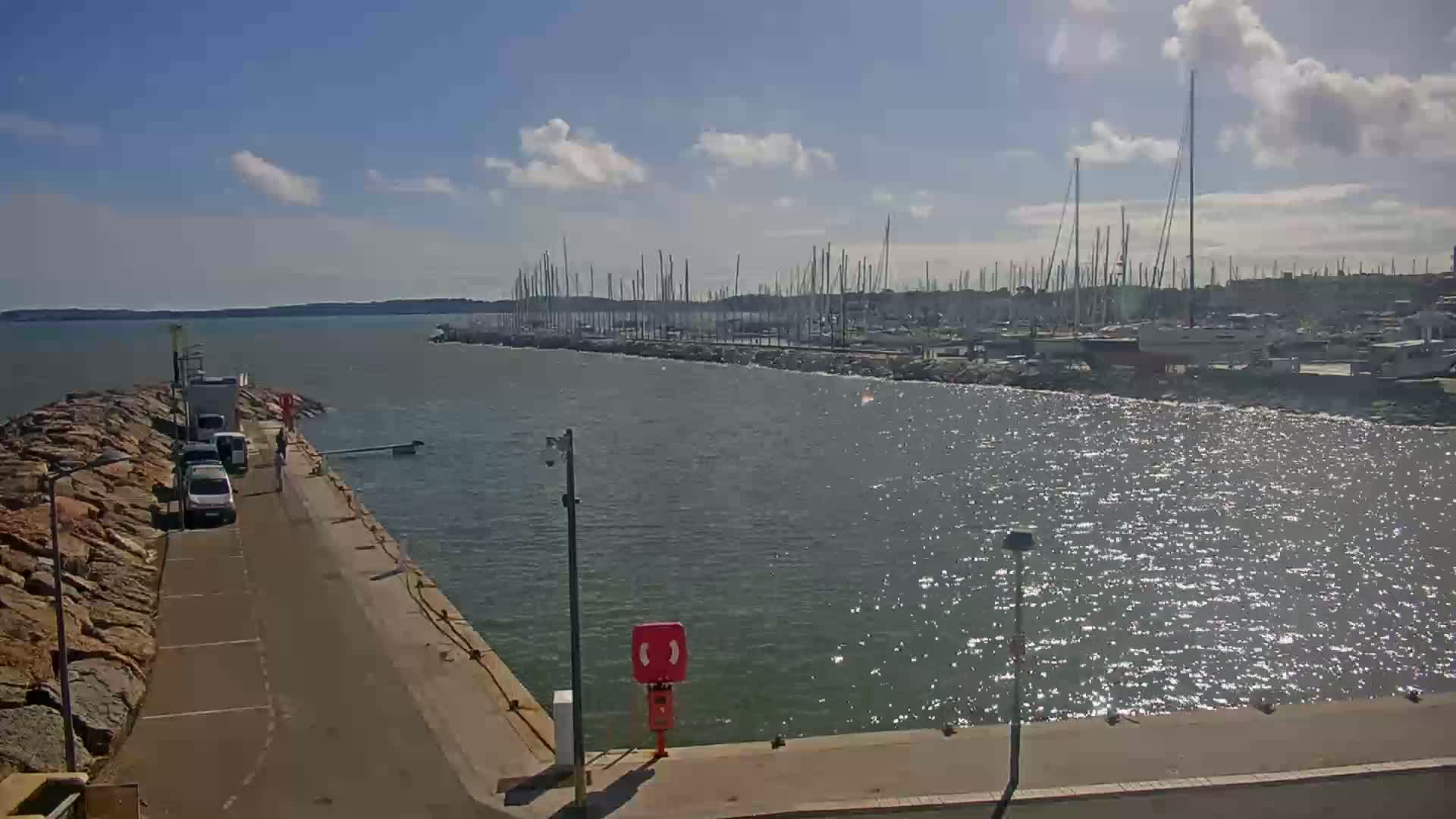 A sunny day at a harbor shows a calm waterway separating a rocky shore with parked cars from a marina filled with numerous sailboats.