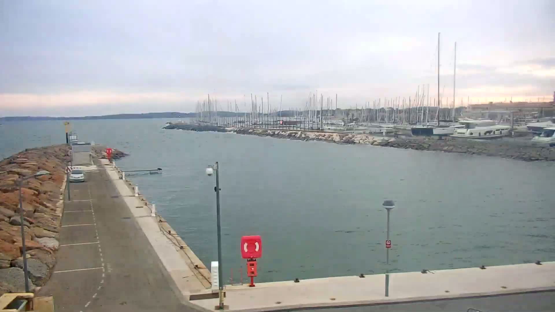 A marina filled with sailboats and motorboats is seen on a calm, overcast day from a paved area with a car parked nearby.