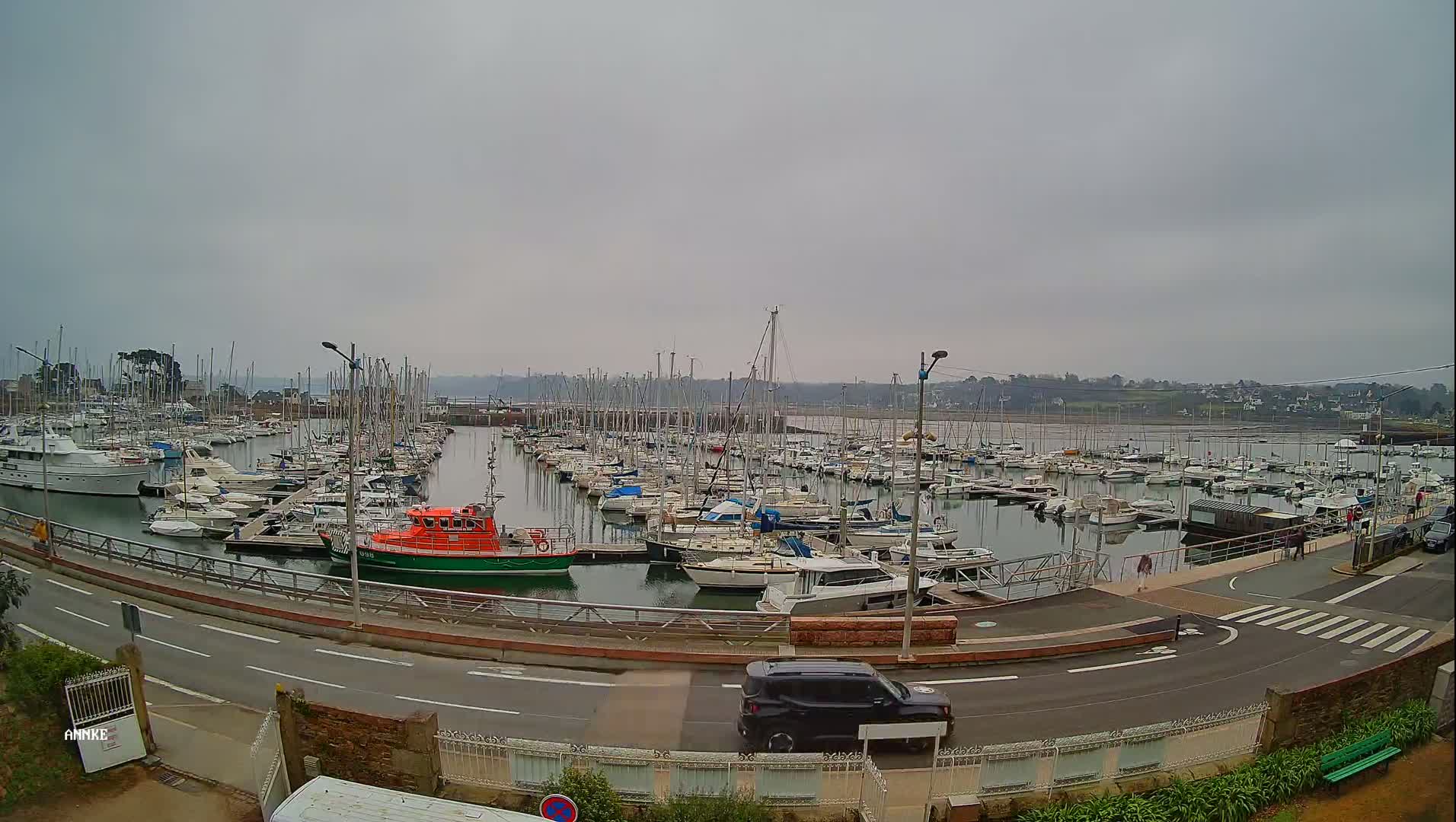 A harbor filled with numerous sailboats and motorboats under an overcast sky.