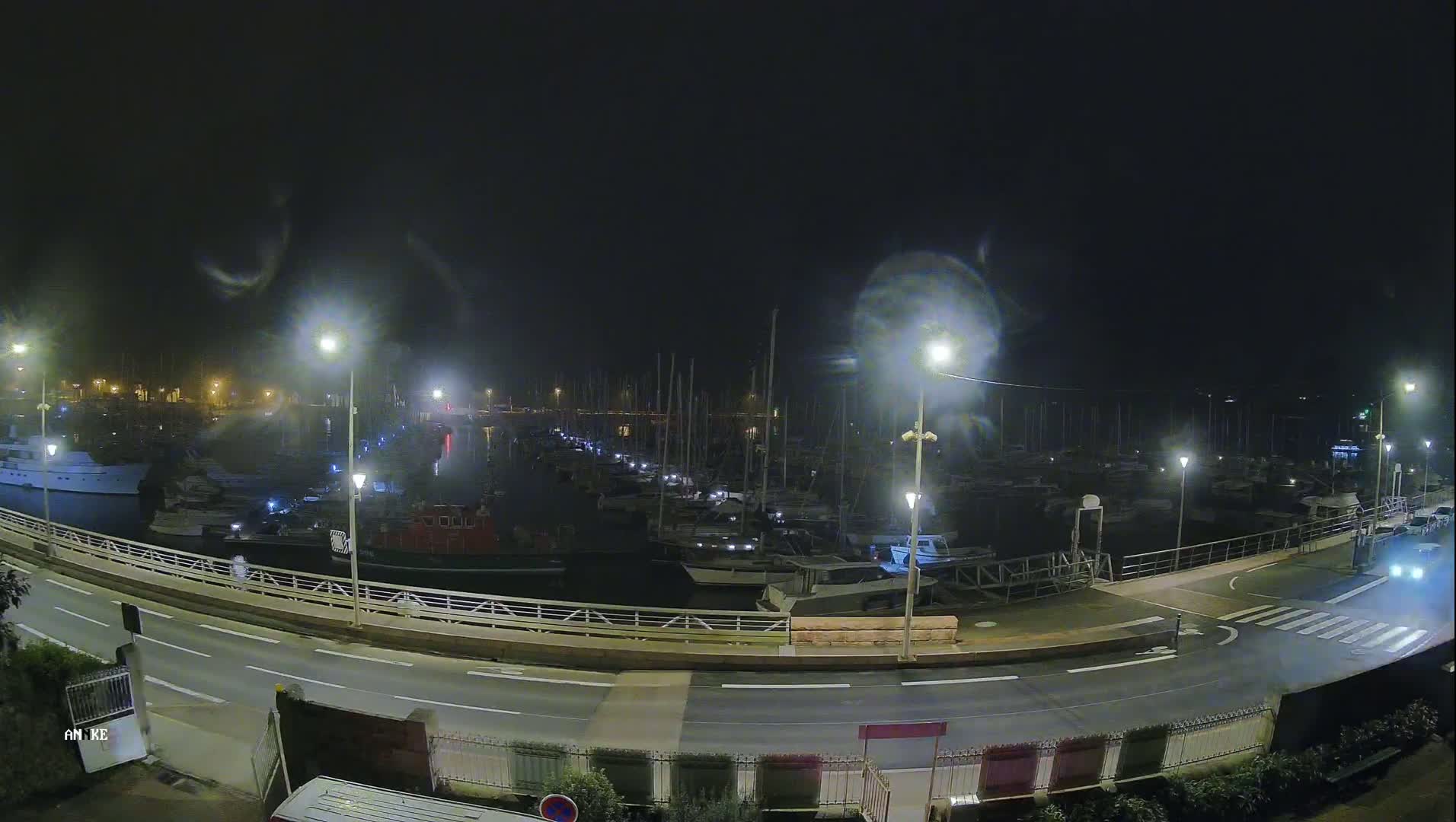 A nighttime view of a marina filled with boats, illuminated by streetlights under a dark, possibly overcast sky.
