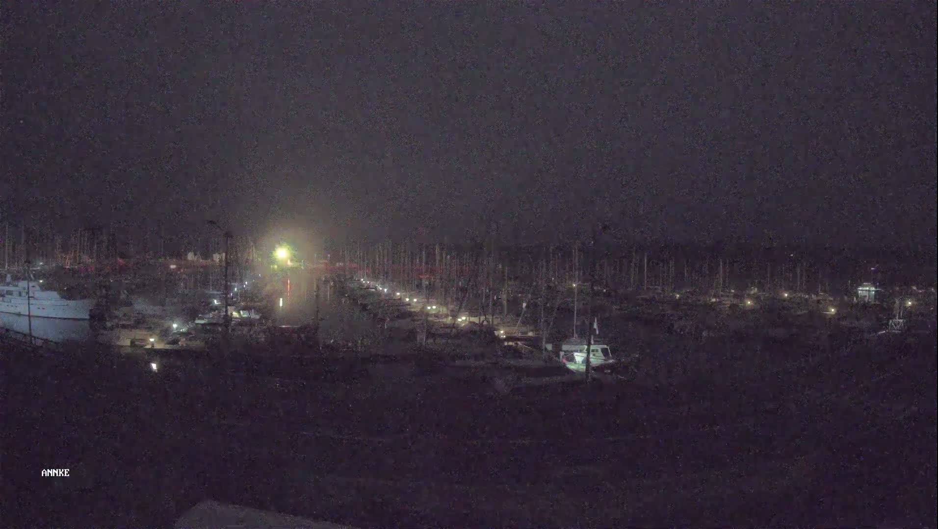 A nighttime view of a marina filled with numerous boats under a dark, cloudy sky.