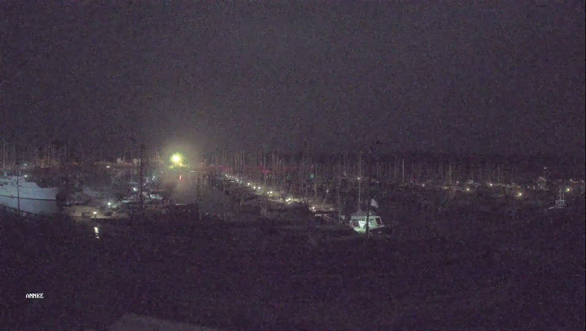 A nighttime, low-light view of a marina filled with docked boats under a dark, overcast sky.