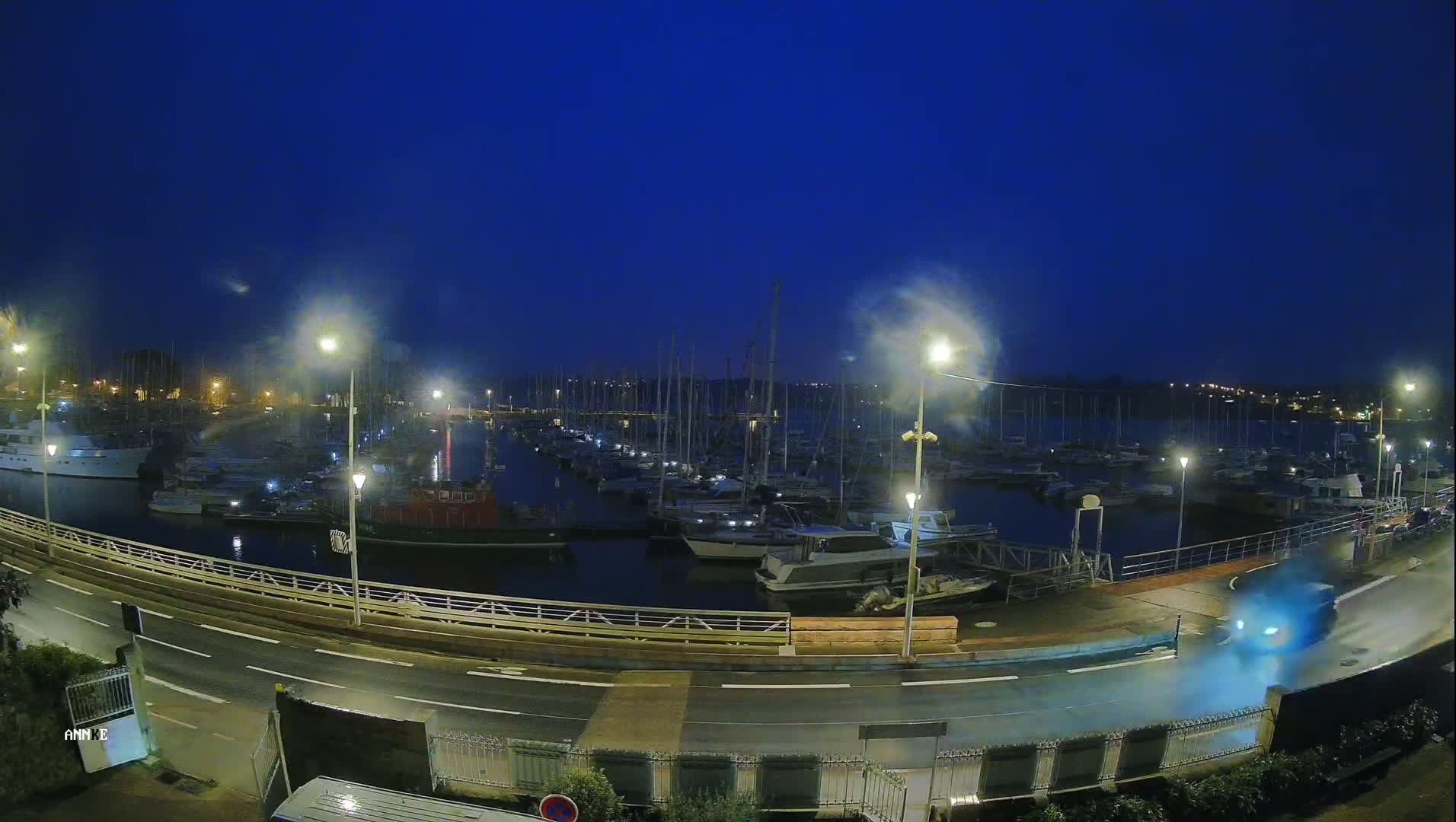 A nighttime view of a marina filled with boats under a dark blue, clear sky, with a road curving alongside it.