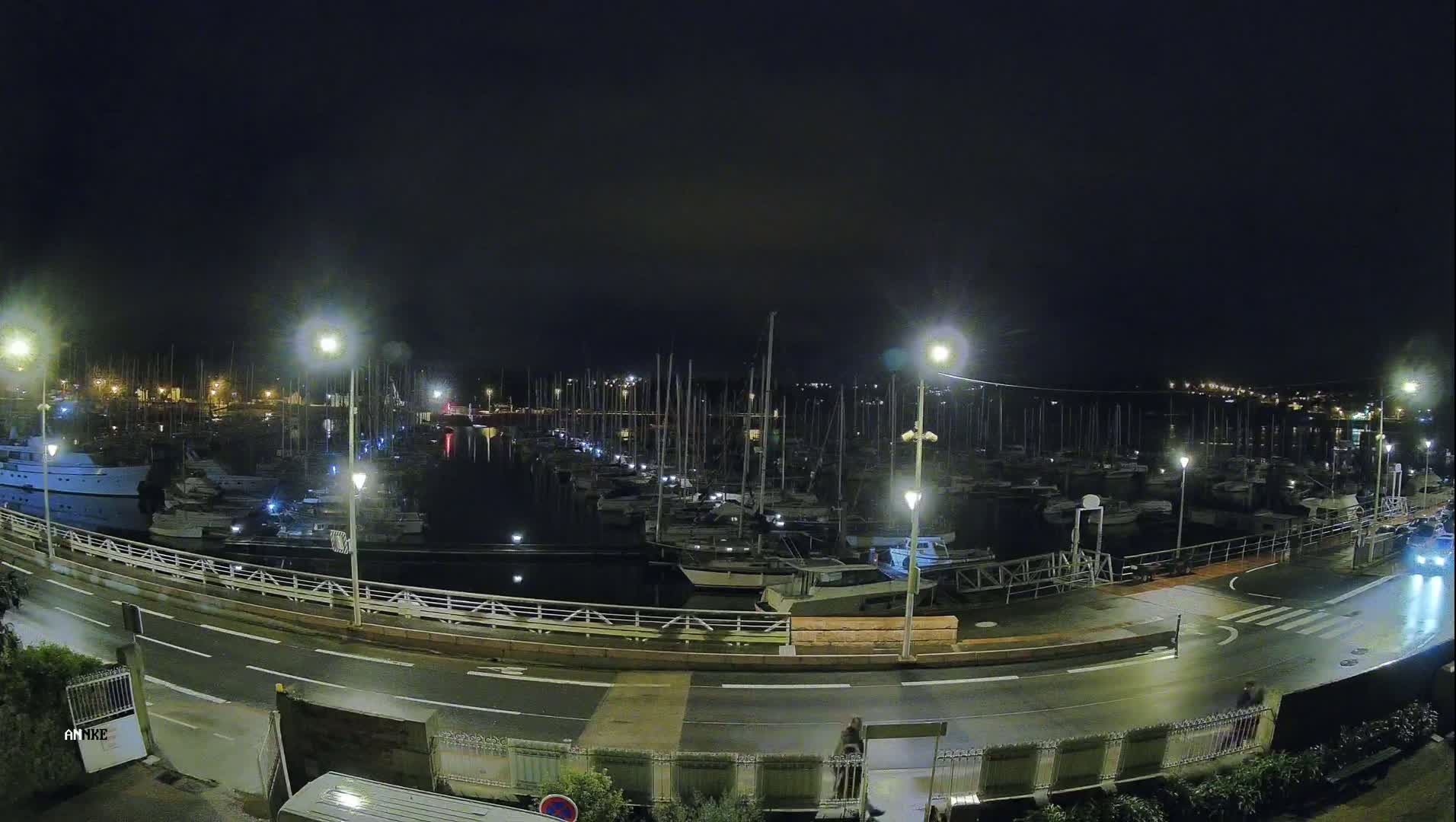 A nighttime view of a marina filled with numerous boats under a dark sky.