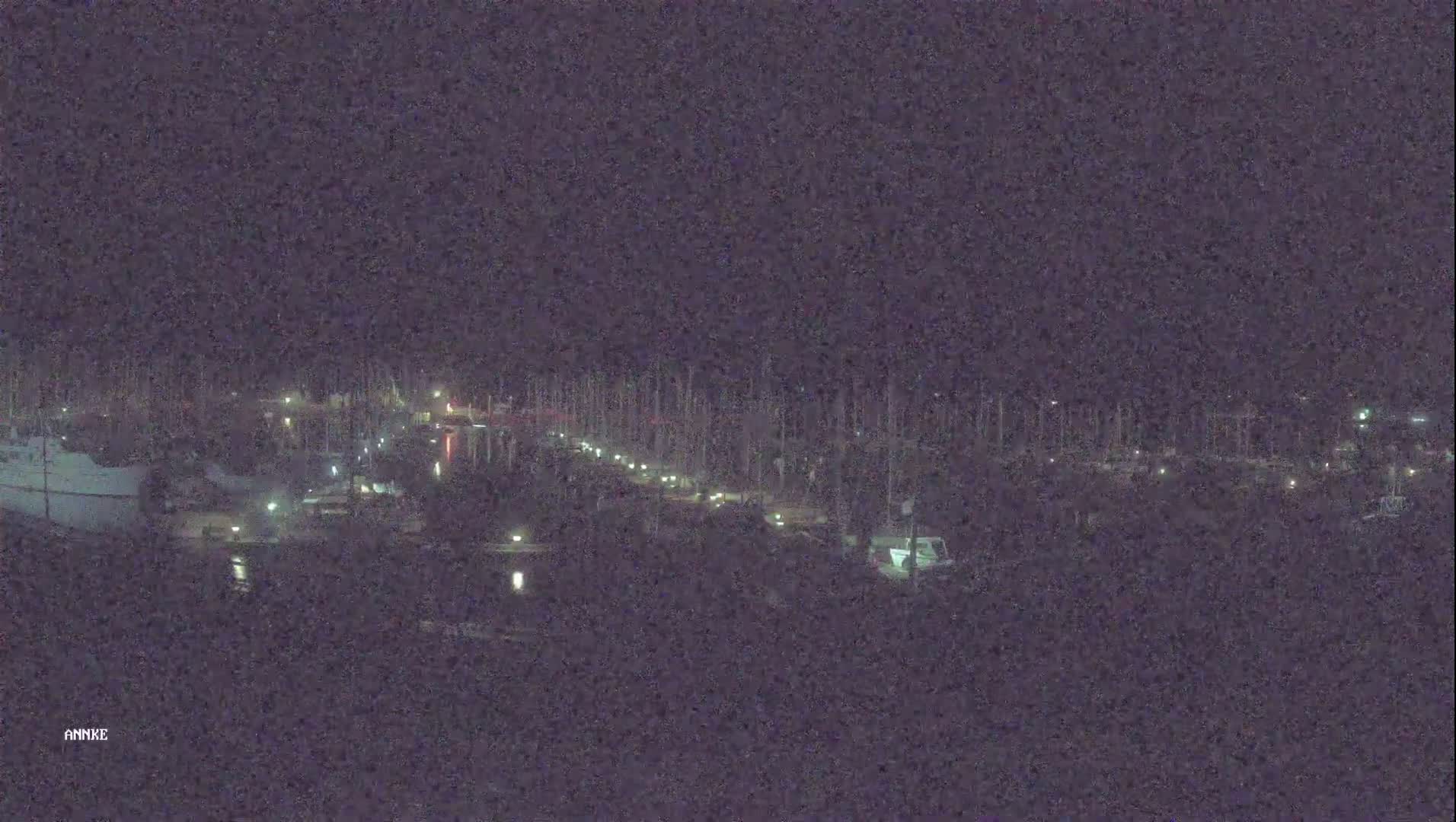 A nighttime view of a marina with boats docked along a pier, illuminated by scattered lights under a dark sky.
