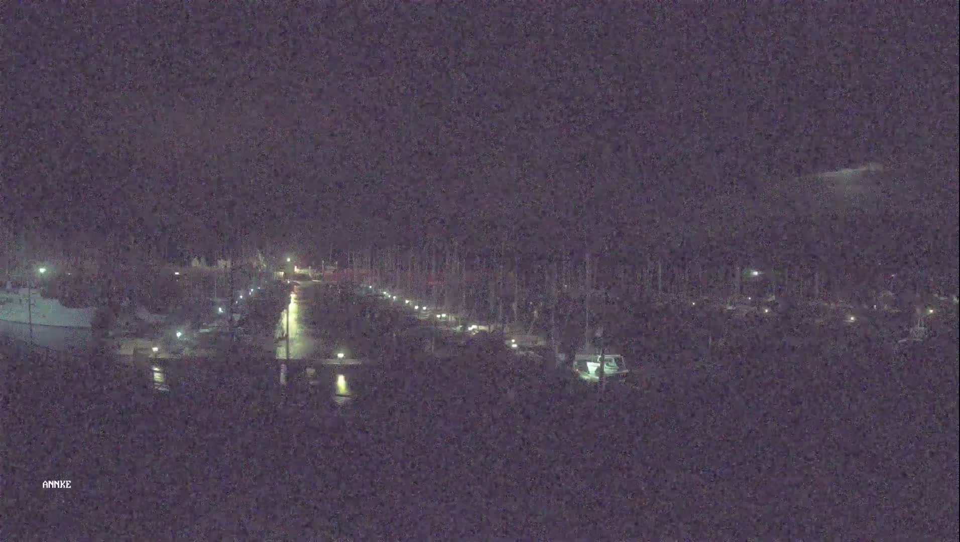 A nighttime long shot shows a marina with boats docked along a canal under a dark sky.