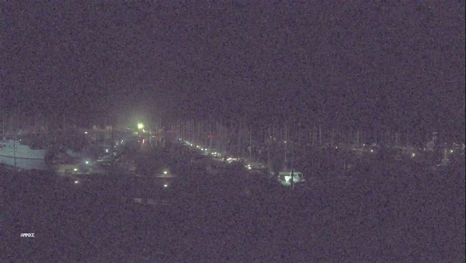 A nighttime long shot shows a marina with boats and dimly lit docks under a dark, hazy sky.