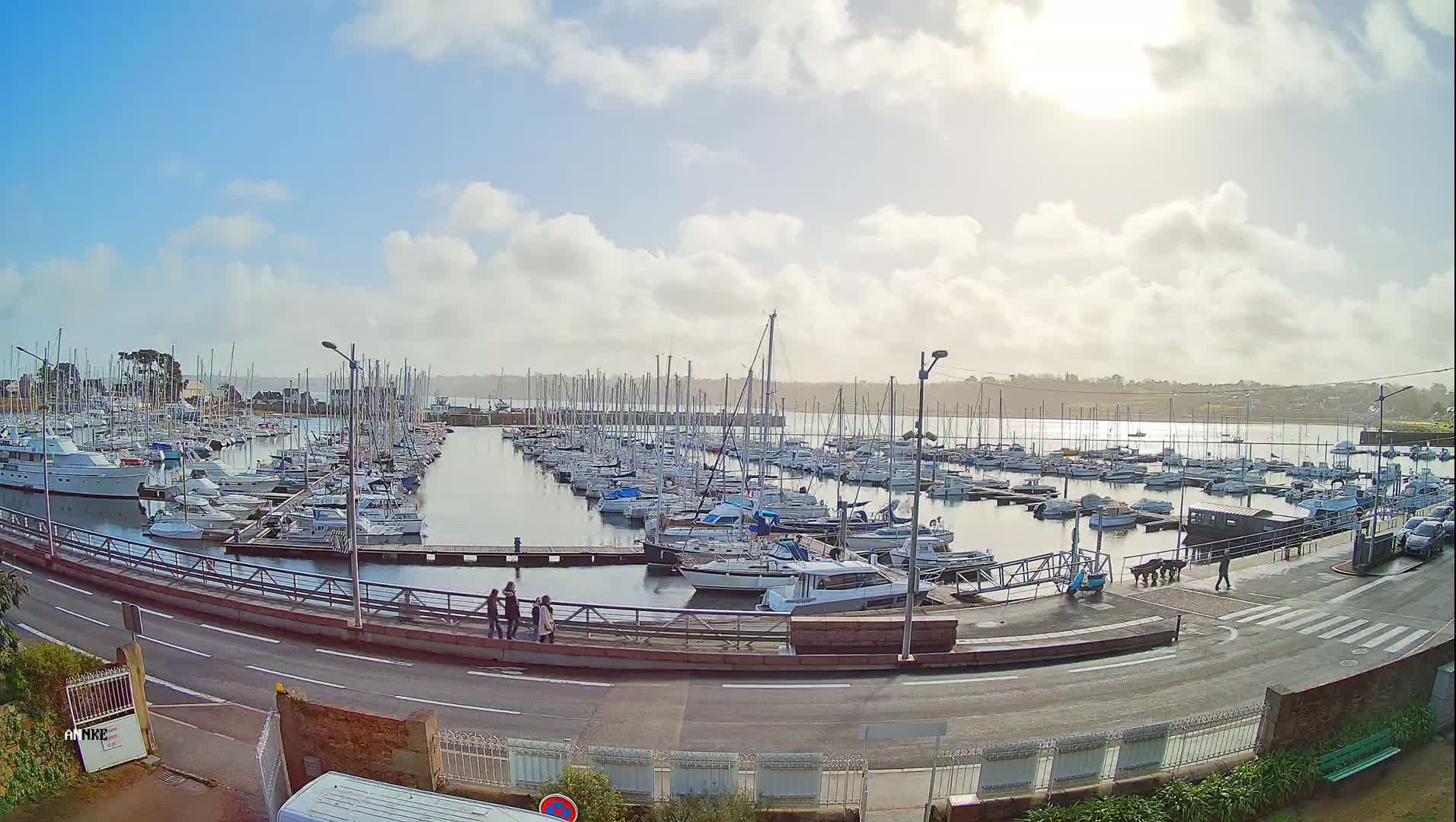 A sunny day shows a large marina filled with sailboats and motorboats, a road curves alongside it, and a few people walk near the water.