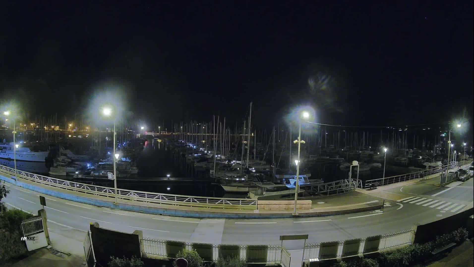 A marina filled with numerous boats is illuminated at night under a dark, clear sky.