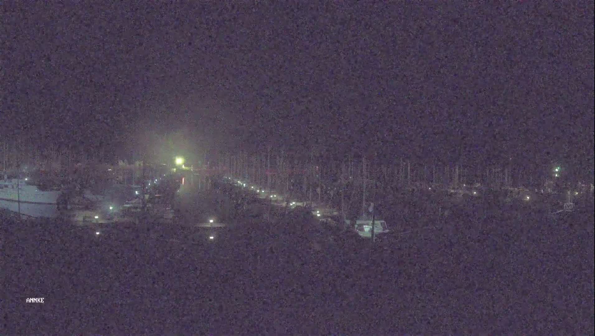 A nighttime, low-light view of a marina with numerous boats docked, illuminated by faint lights.
