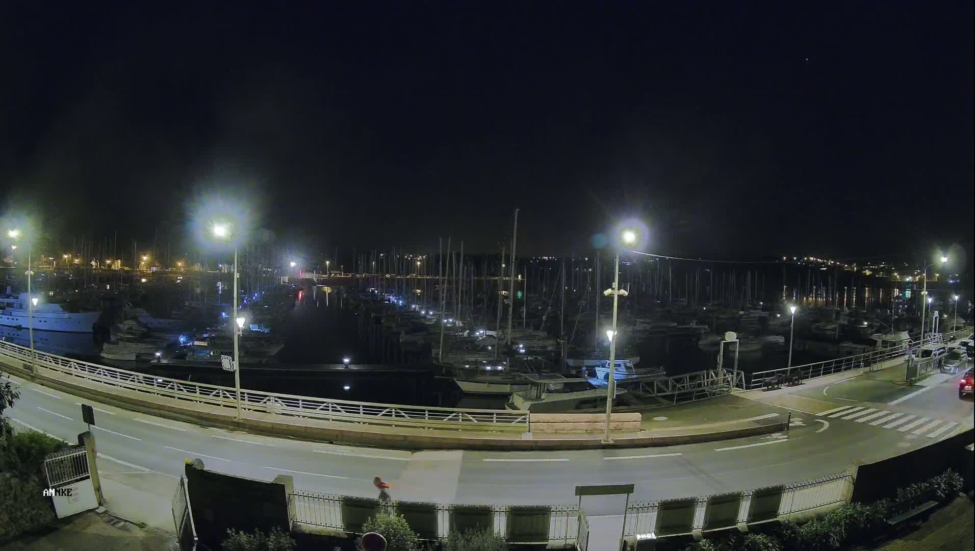 A marina filled with numerous boats is illuminated at night under a clear, dark sky.