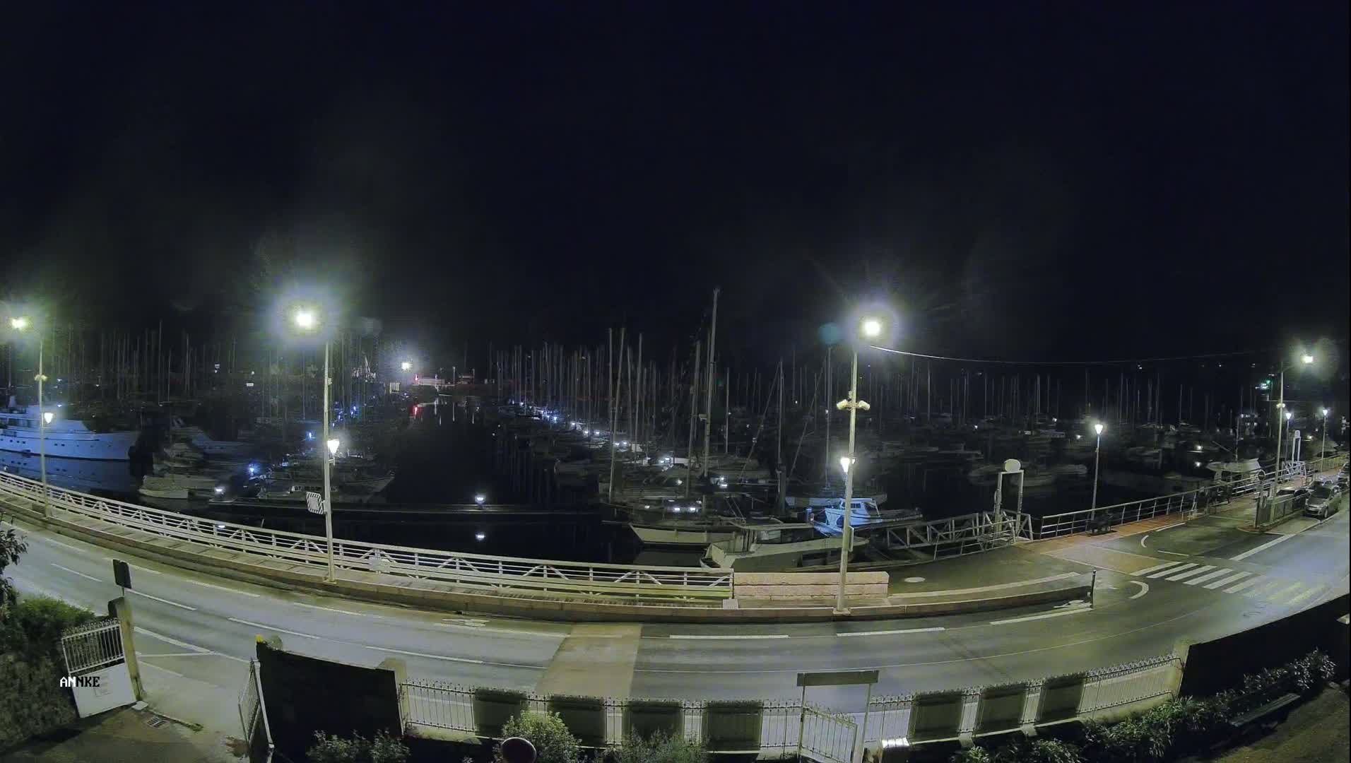 A nighttime view of a marina filled with numerous sailboats and yachts, illuminated by streetlights under a dark, clear sky.