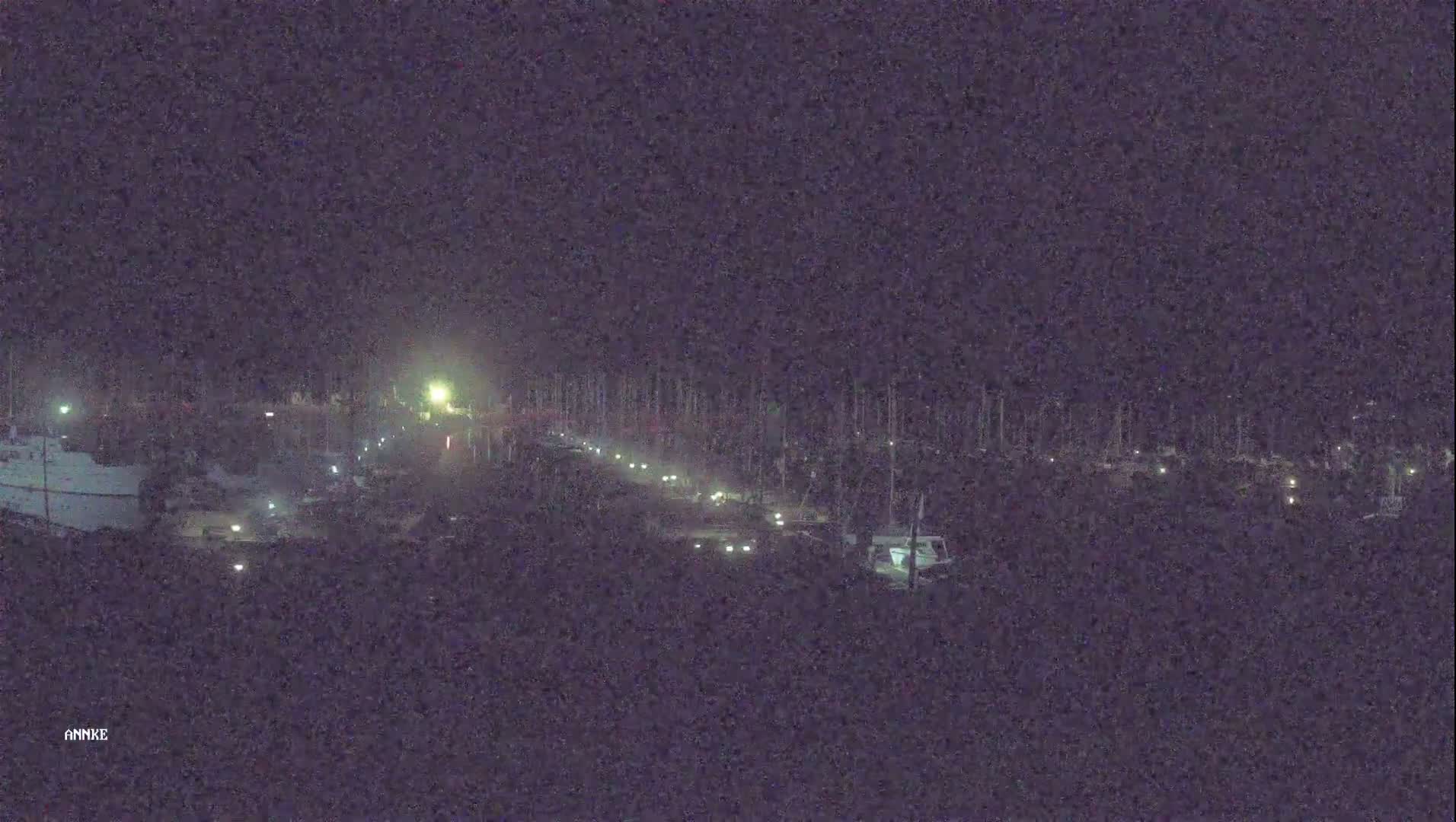 A nighttime view of a marina with numerous boats and dimly lit vehicles along a roadway.