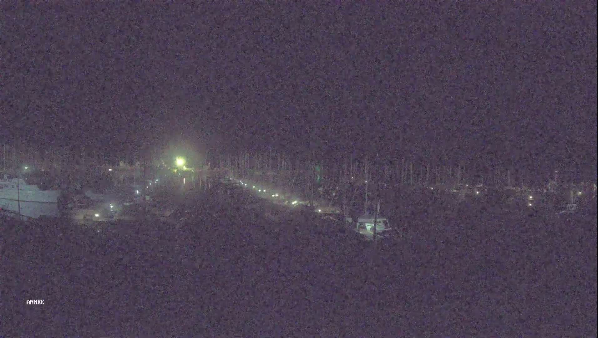 A nighttime long shot shows a marina with boats and faint lights under a dark sky.