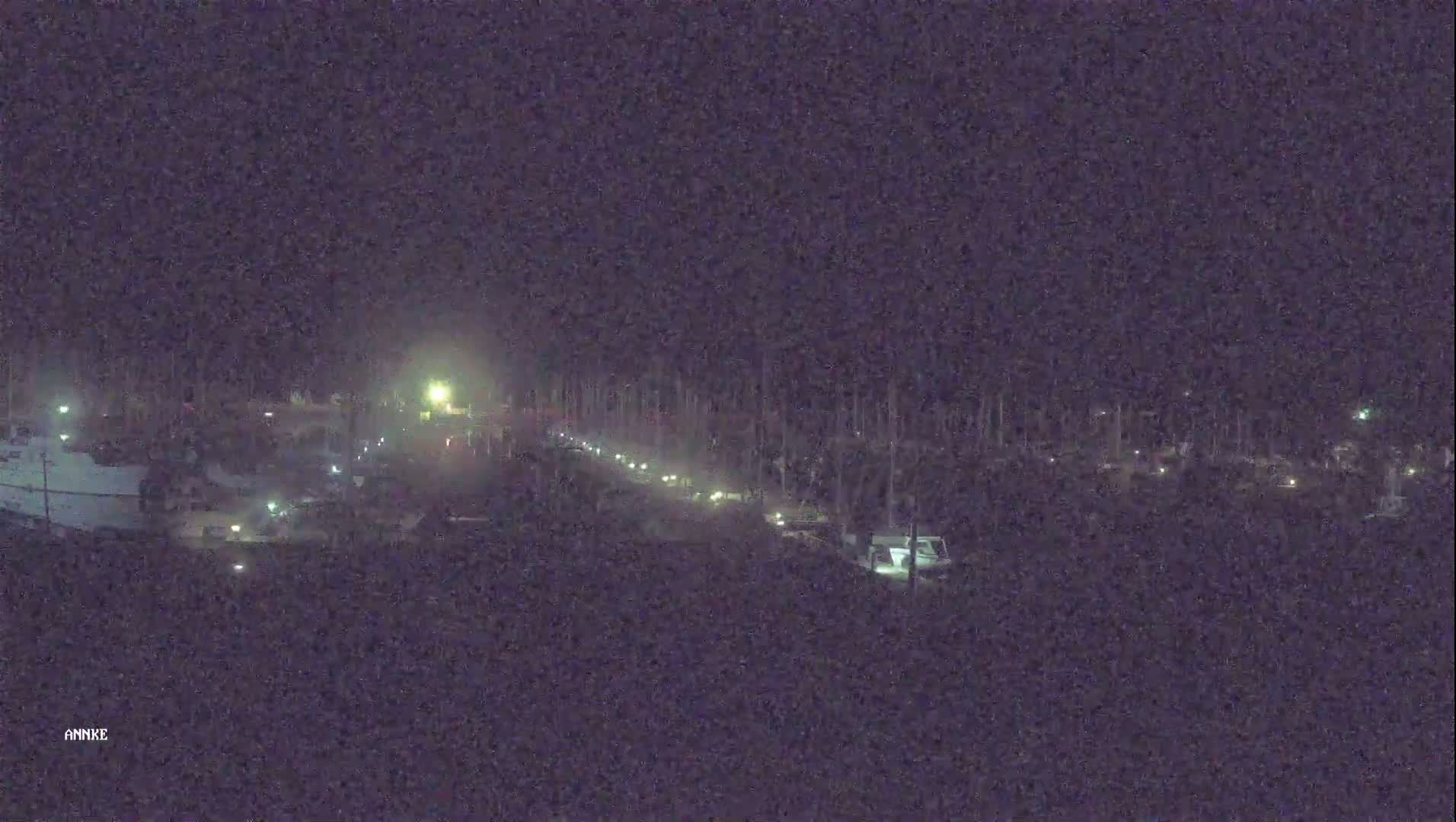 At night, a marina is shown with numerous boats and masts illuminated by faint lights under a dark sky.