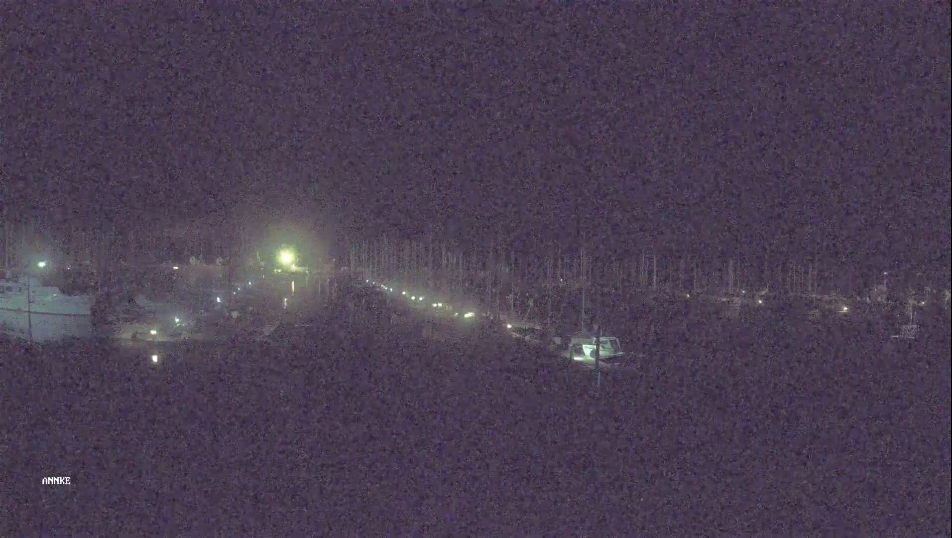 A nighttime long shot shows a marina with boats and dimly lit walkways.
