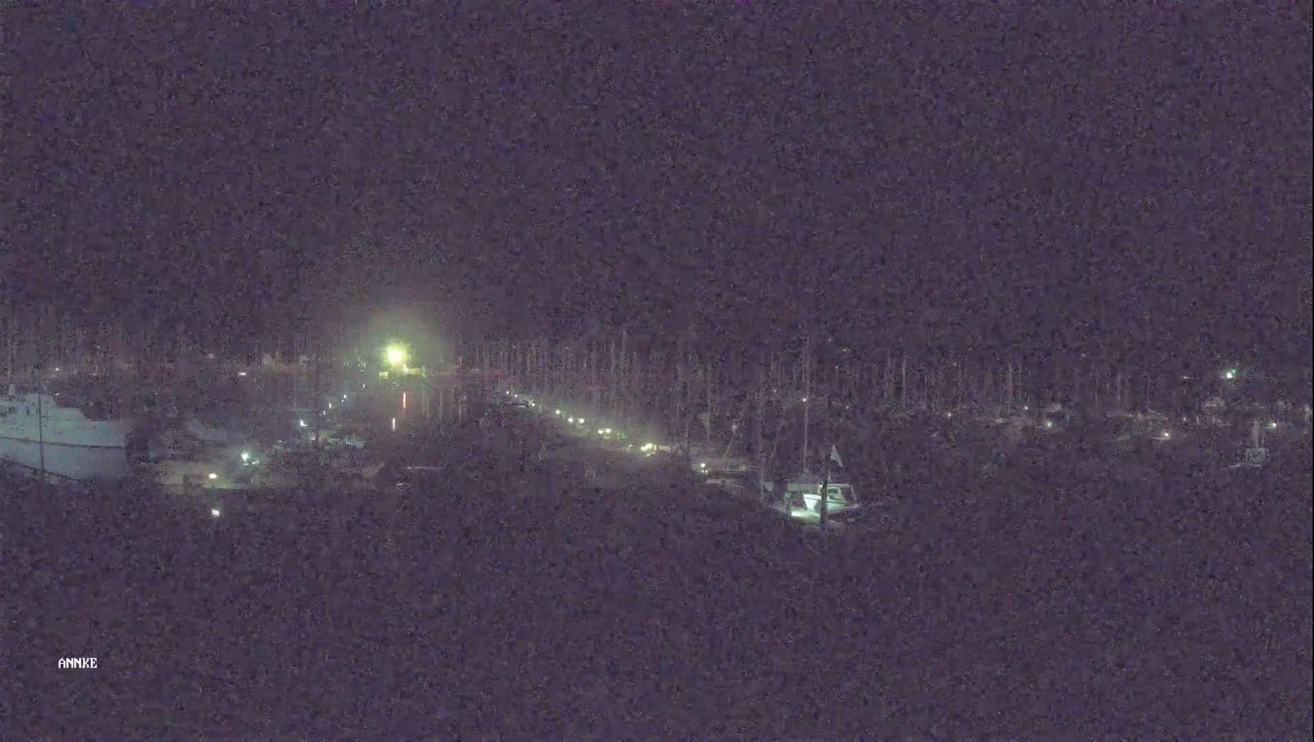 A nighttime long shot of a marina with several boats docked, under a dark sky.