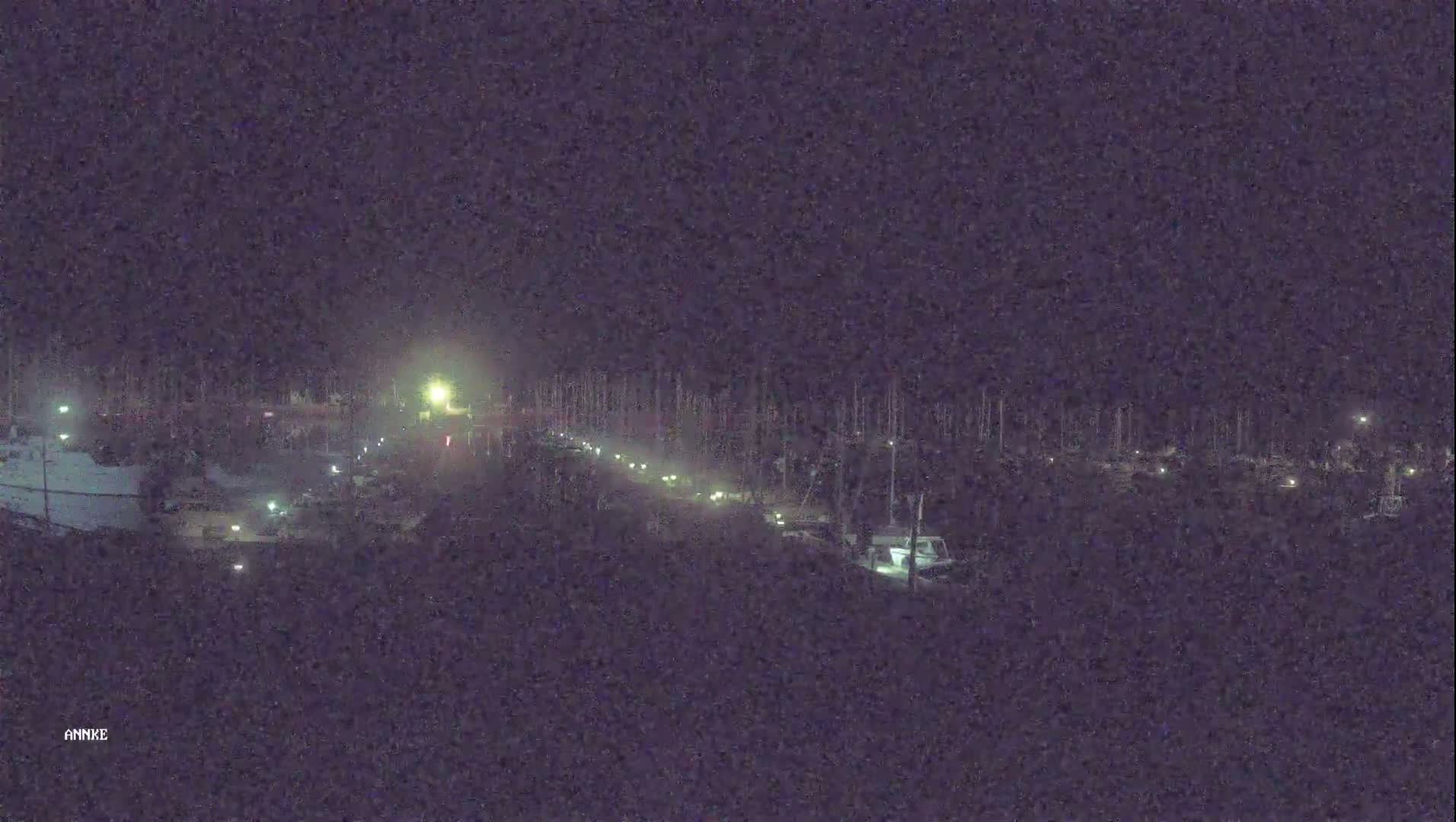 A nighttime, foggy view of a marina with several boats and dimly lit walkways.