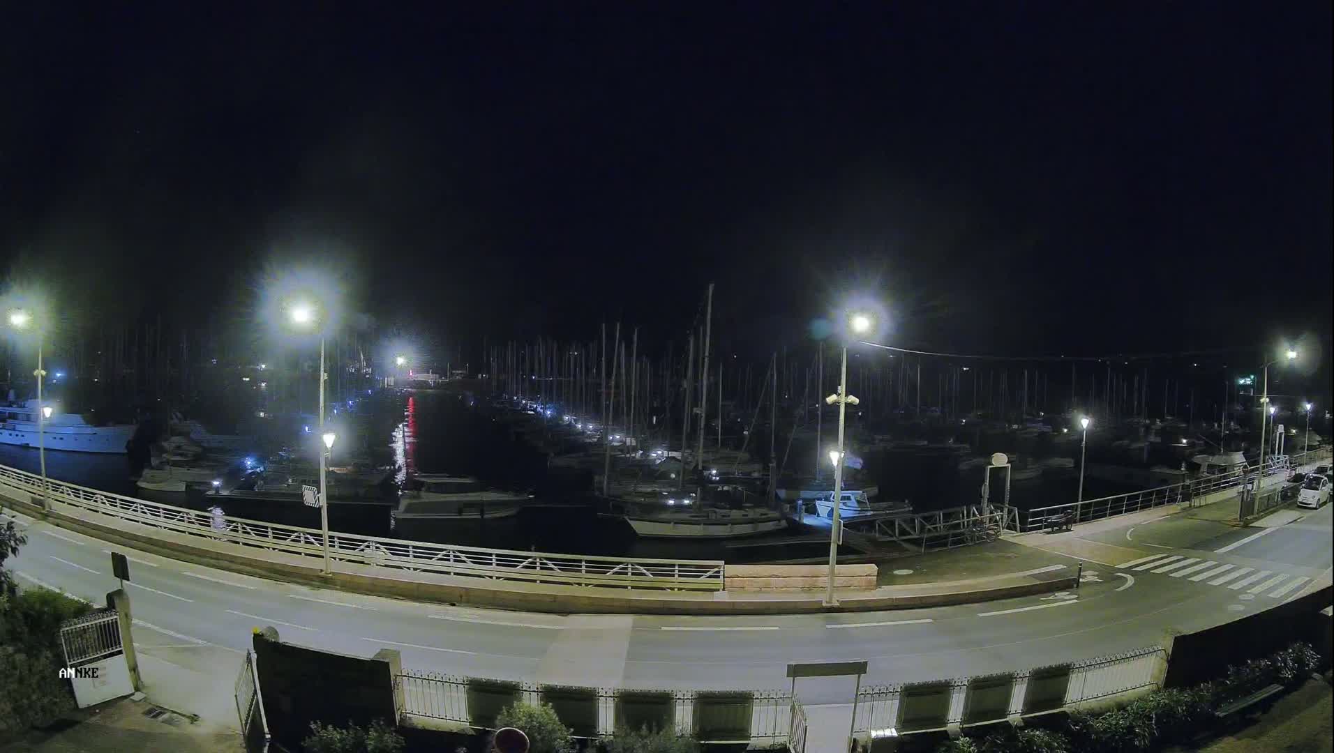A marina filled with boats at night, illuminated by streetlights under a dark sky.