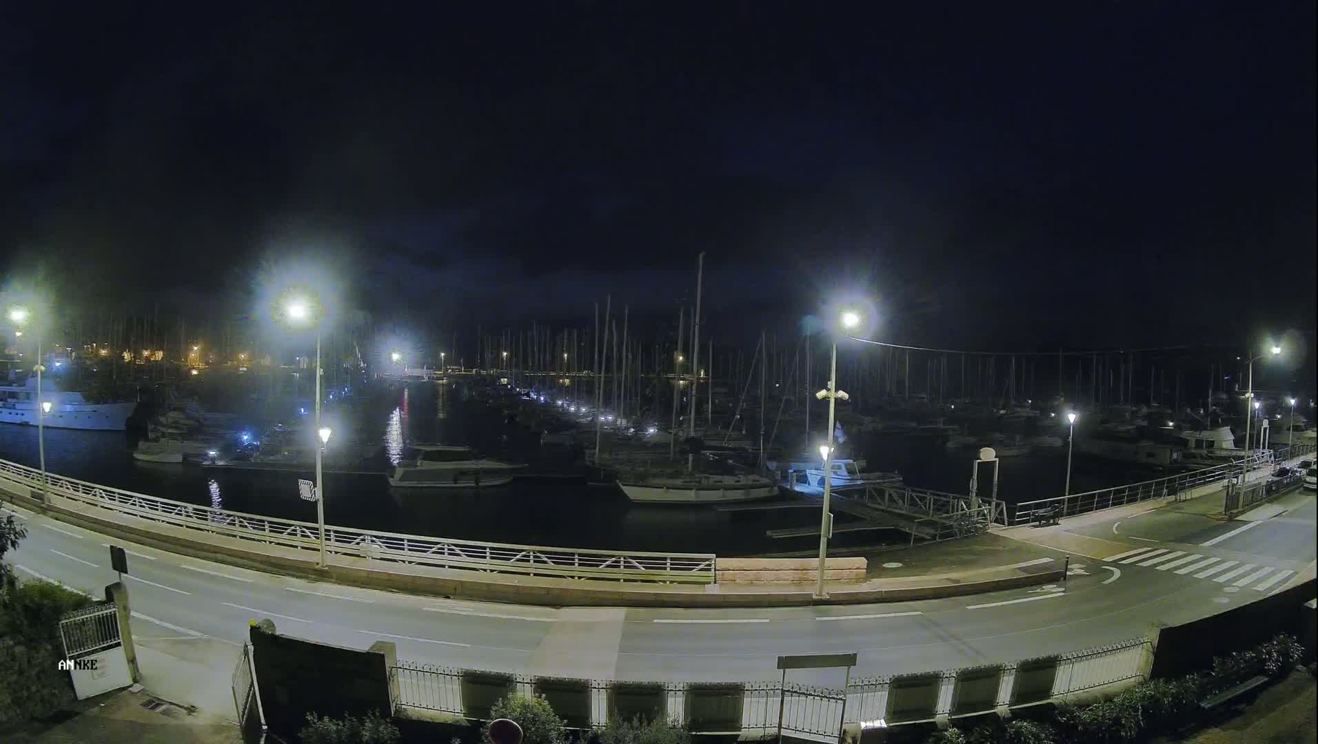 A nighttime view of a marina filled with numerous boats, illuminated by streetlights, under a dark, possibly cloudy sky.