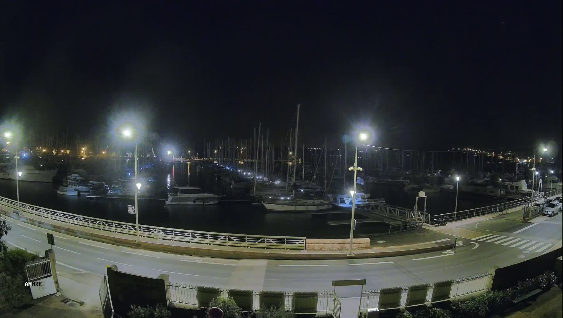 A nighttime view of a marina filled with docked sailboats and motorboats, illuminated by streetlights under a clear, dark sky.