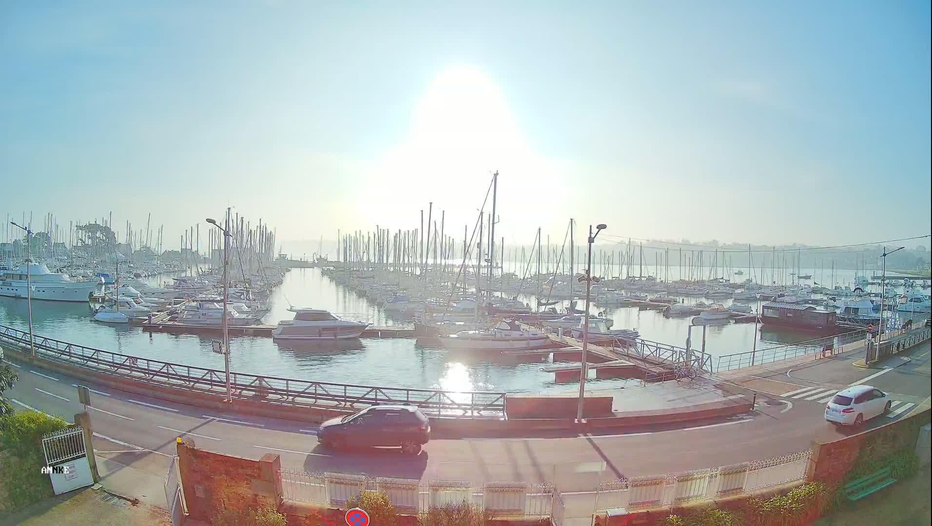 A marina filled with numerous sailboats and motorboats is seen on a sunny, hazy day, with a road and a few cars visible in the foreground.