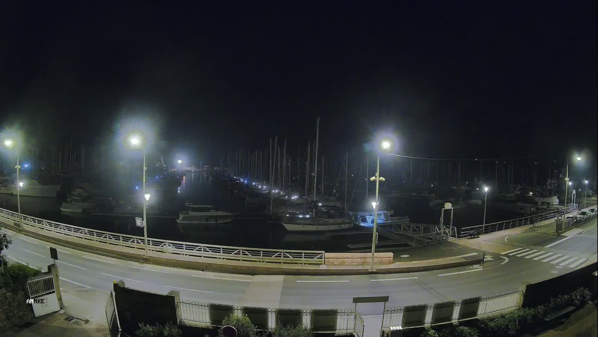 A nighttime view of a marina filled with sailboats and motorboats, illuminated by streetlights under a dark, hazy sky.