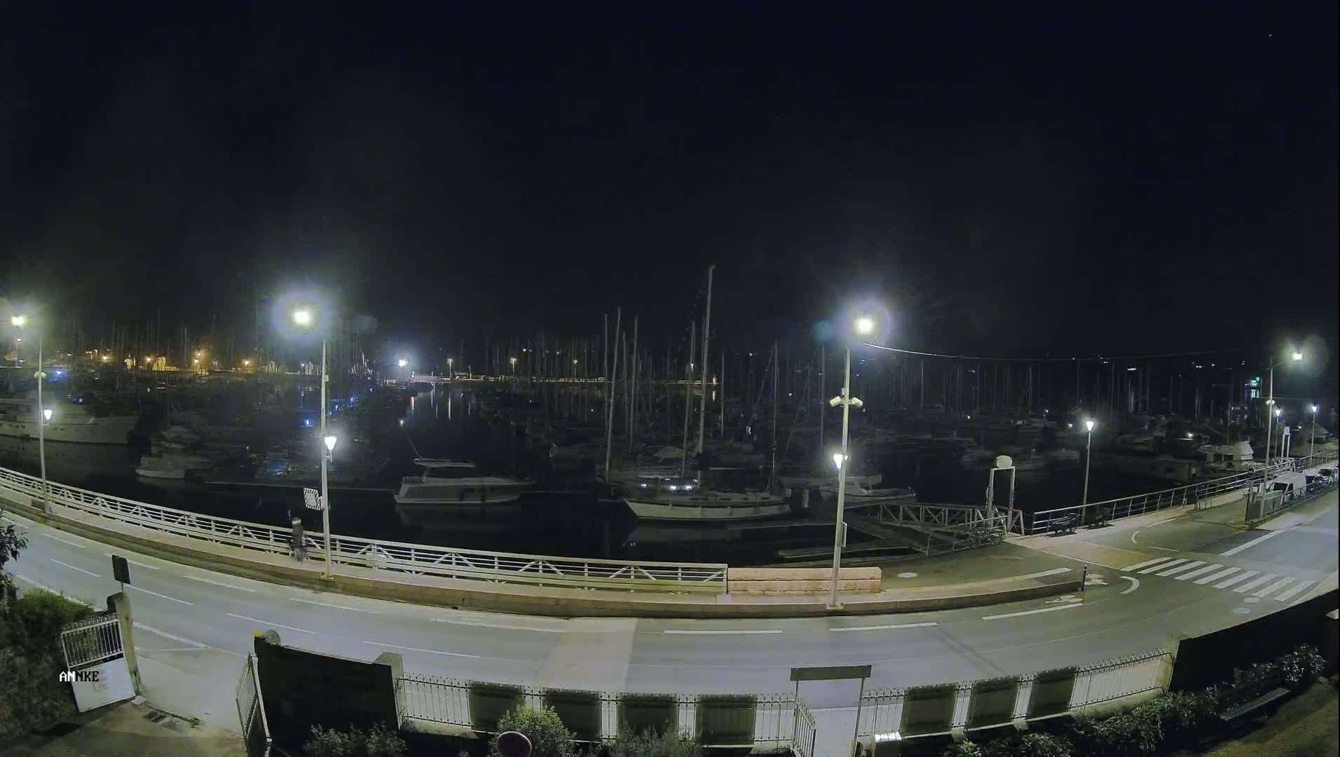 A nighttime view of a marina filled with boats, illuminated by streetlights, under a clear, dark sky.