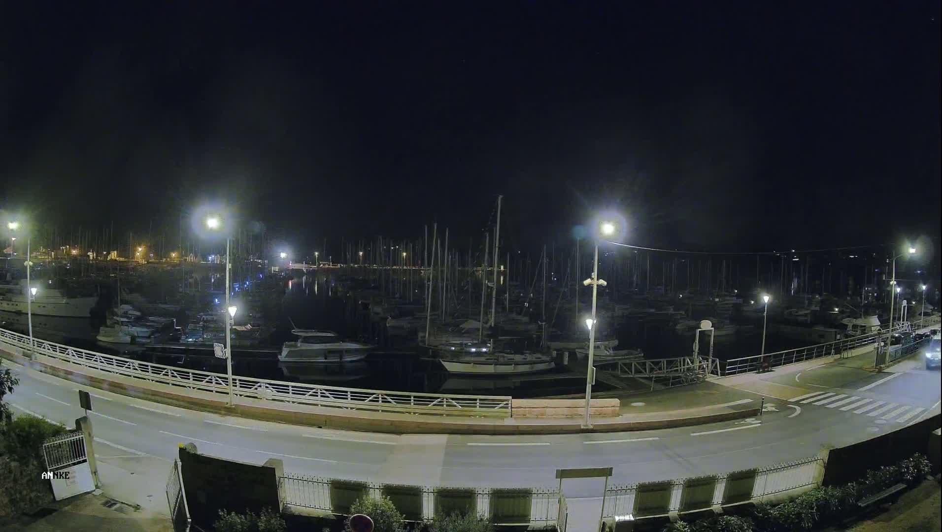 A nighttime view of a marina filled with numerous boats and yachts, illuminated by streetlights under a clear, dark sky.