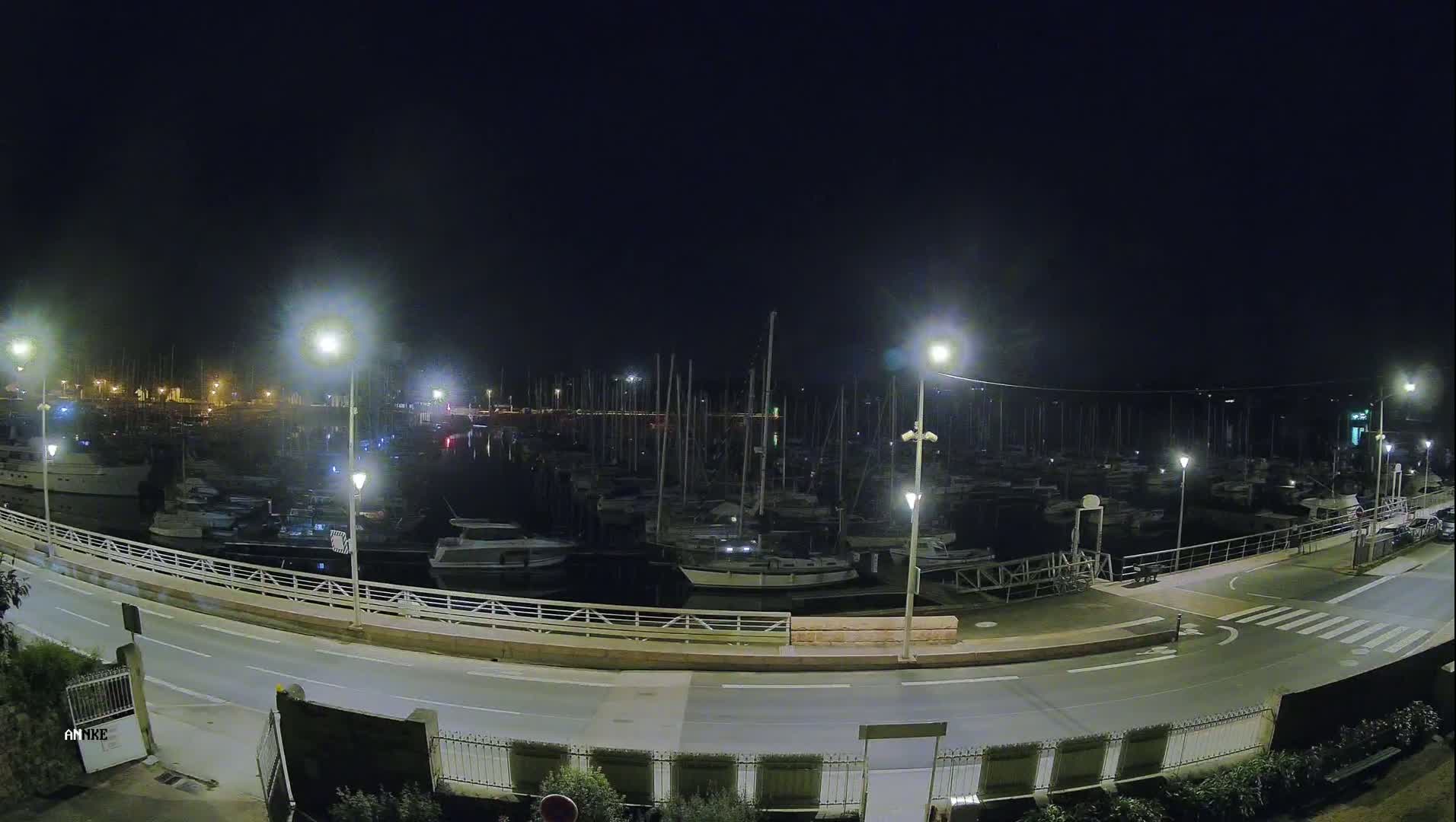 A marina filled with numerous boats is illuminated at night under a clear, dark sky.
