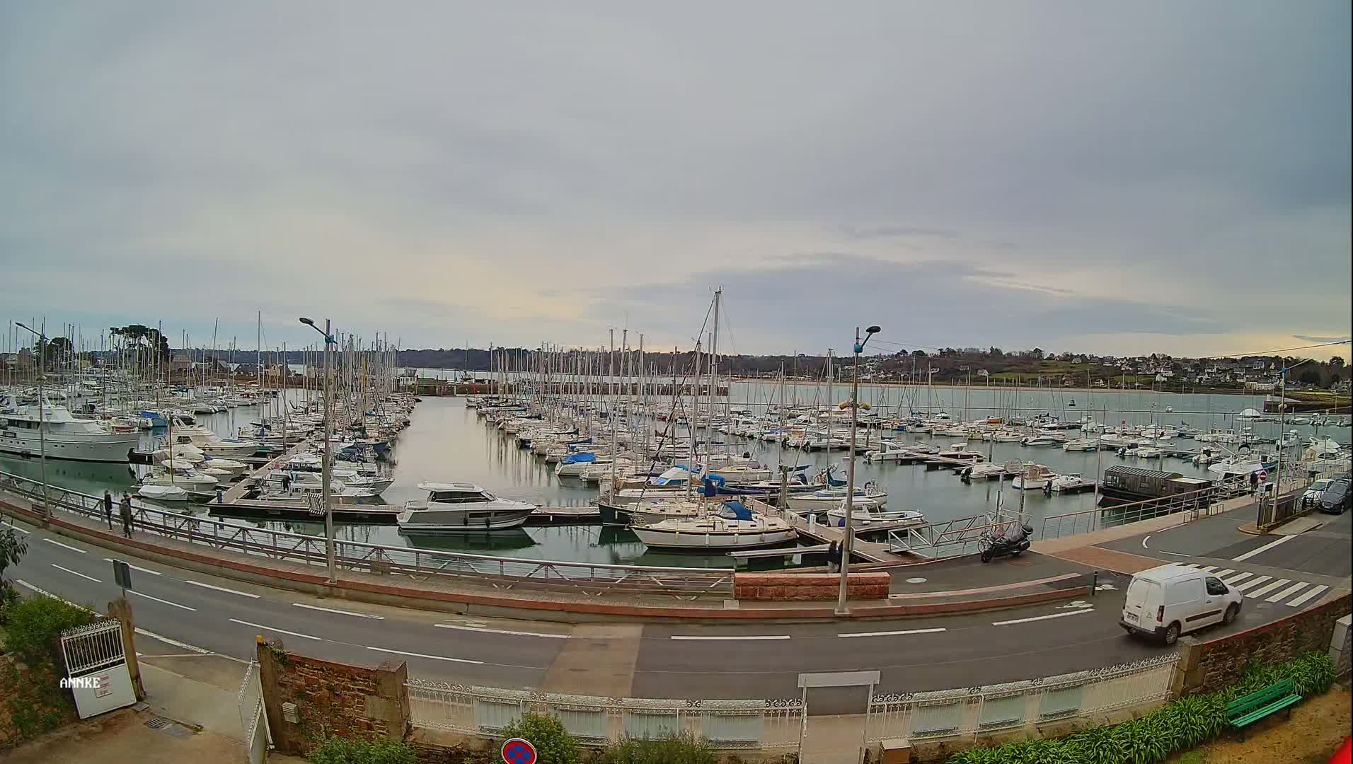 A marina filled with numerous sailboats and motorboats is seen on an overcast day, next to a road with a white van.