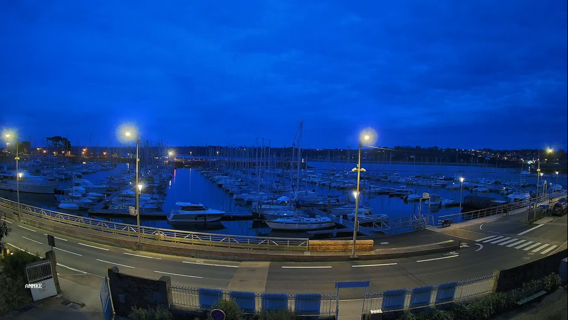 A marina filled with numerous boats is illuminated at night under a dark blue sky.