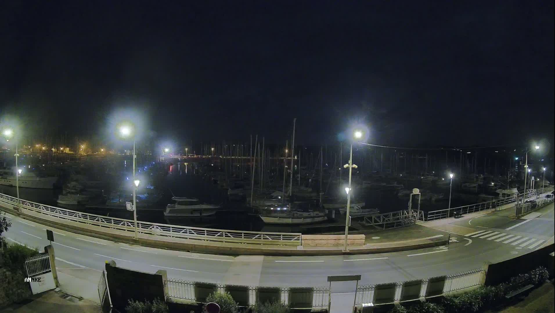 A marina filled with docked boats is illuminated at night under a clear, dark sky.