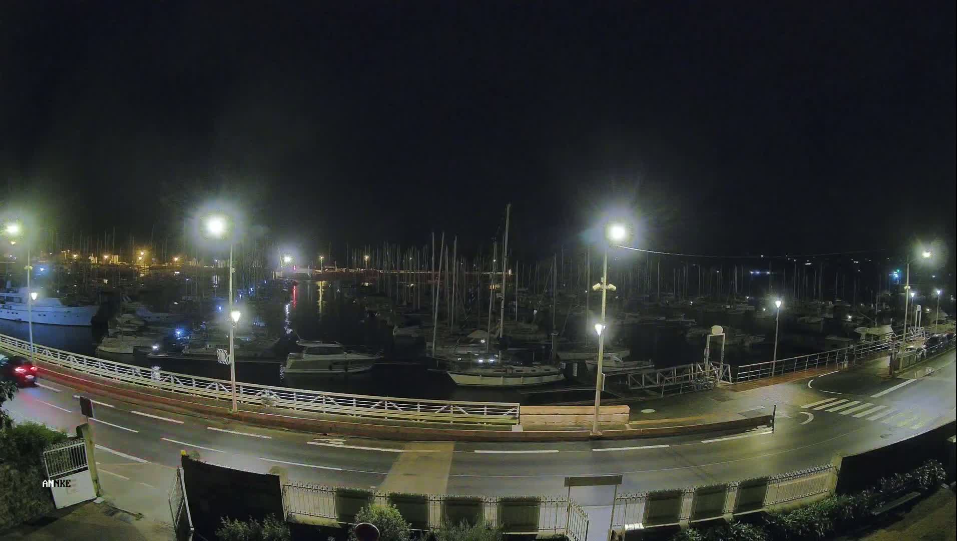 A nighttime view of a marina filled with sailboats and yachts, illuminated by streetlights under a dark, clear sky.